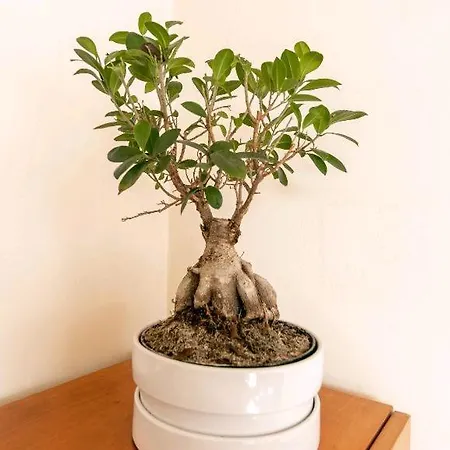 Marble House Póvoa de Varzim