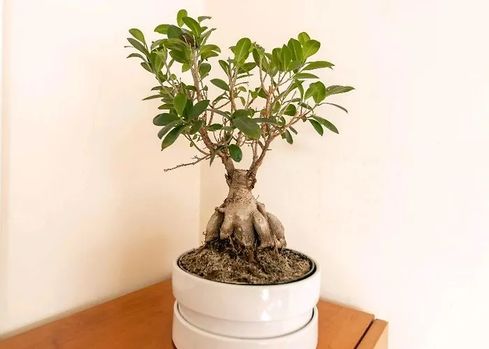 Marble House Póvoa de Varzim